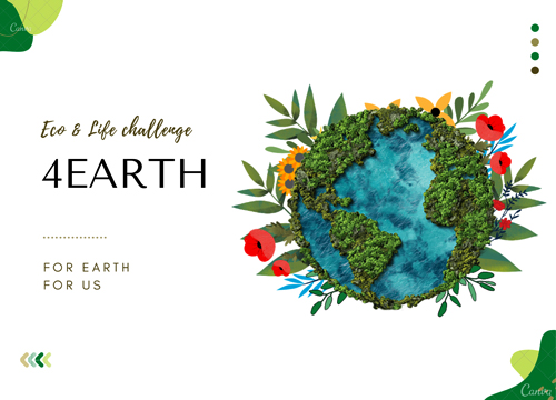 프로젝트 이미지